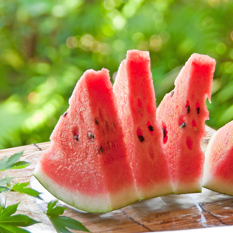 夏休み